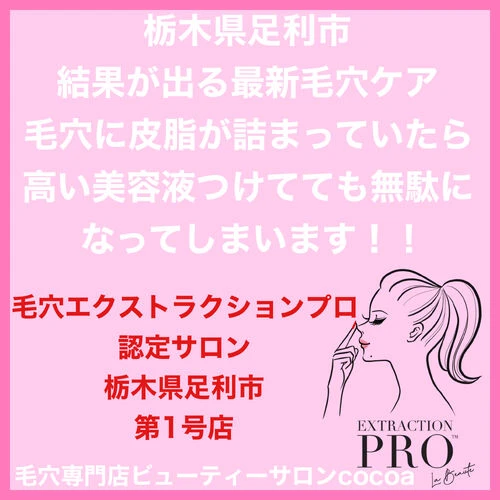 ギャラリー