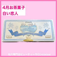 画像2115